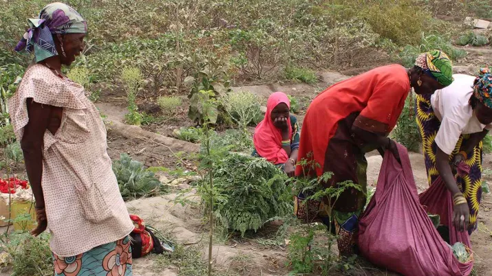 RESILAC renforce le dialogue entre entités territoriales