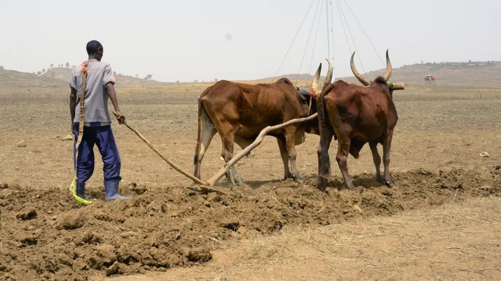 Un agriculteur en Éthiopie