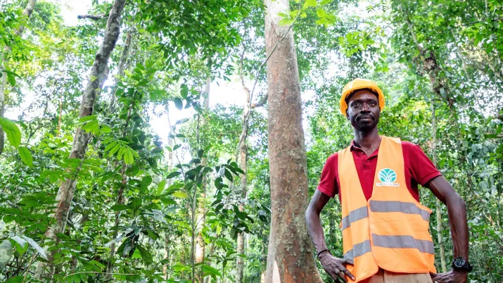 Gabon forêts gestion durable