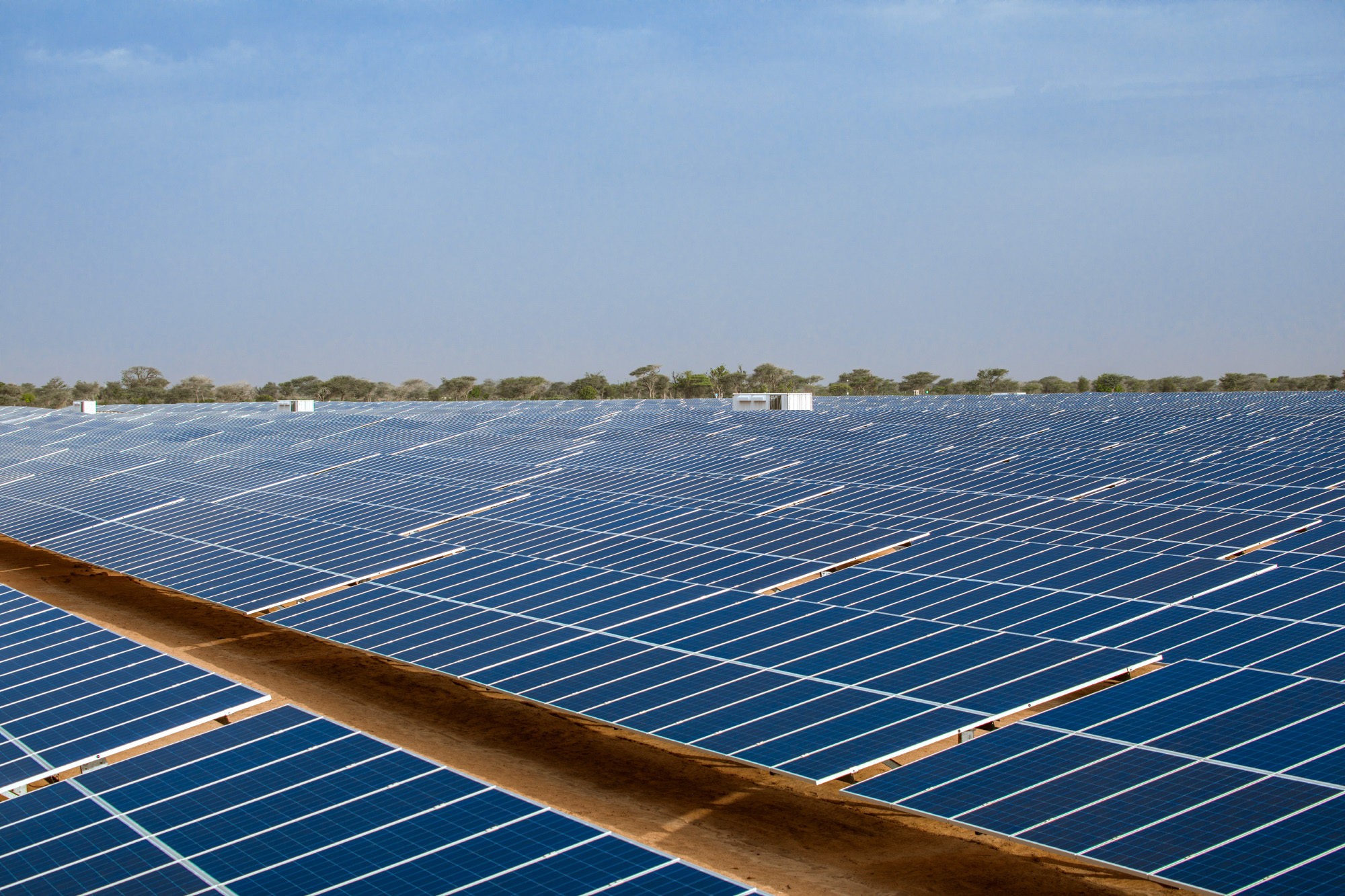 Panneaux solaire de la centrale Senergy au Sénégal