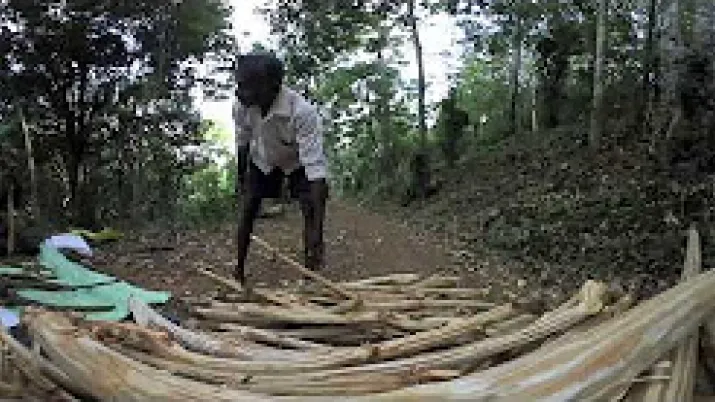 MA’s Food, l’agriculture durable au Sri Lanka
