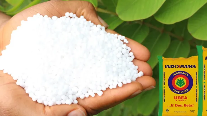 fertilizers