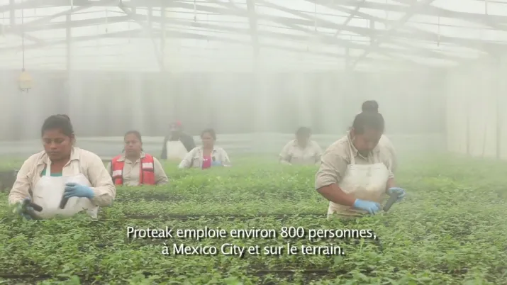femmes, Proteak, emplois