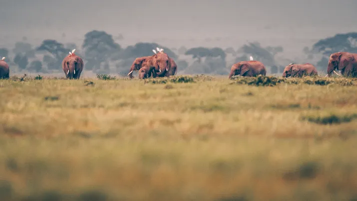 kenya-serena-hotels-tourismedurable