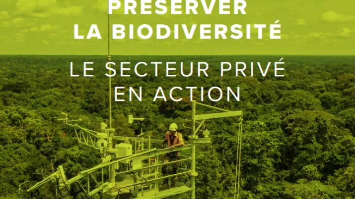 Secteur Privé & Développement