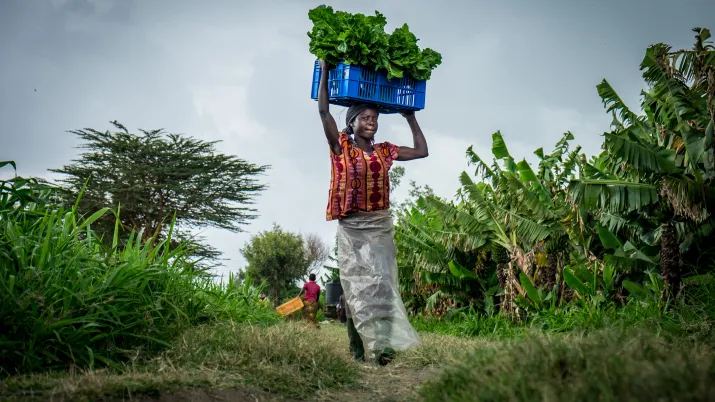 Sécurité alimentaire