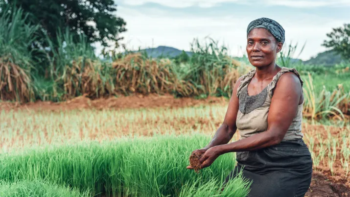 Agriculture Afrique