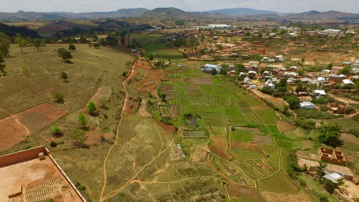 Madagascar - Agriculture