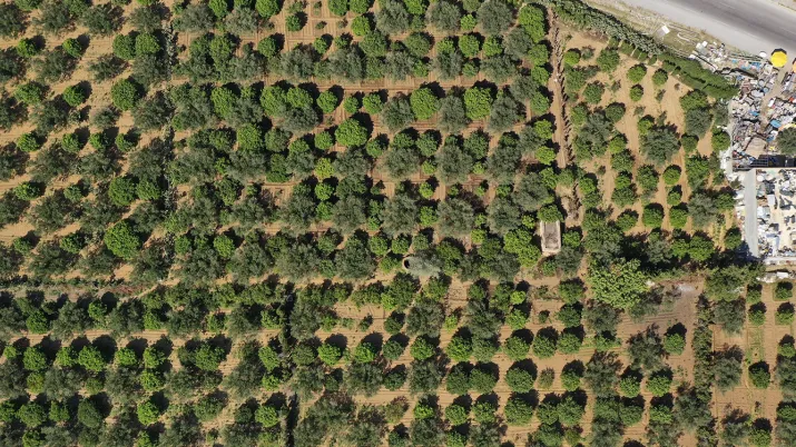 Tunisia, fields, irrigation, waste water