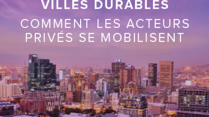Secteur Privé & Développement 40