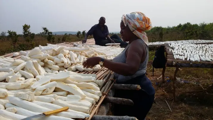 PROJET AT Qualagric (pays fragiles)