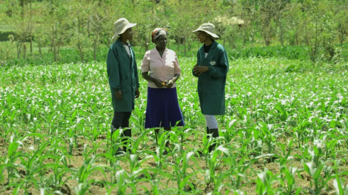 3 people discussing in a field in Kenya