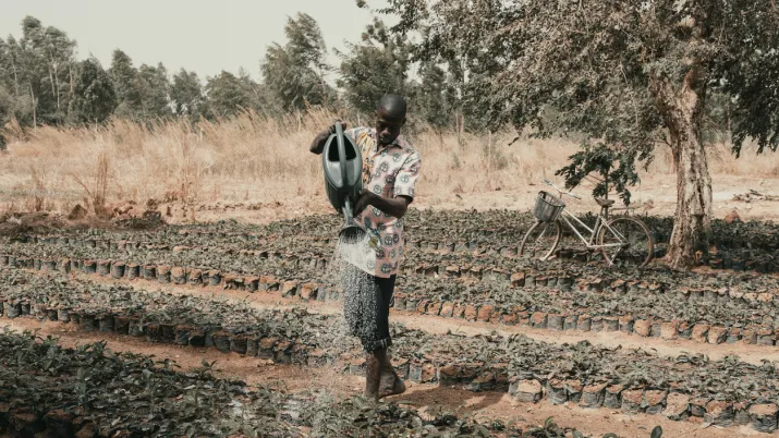 Burkina Faso - Agriculture