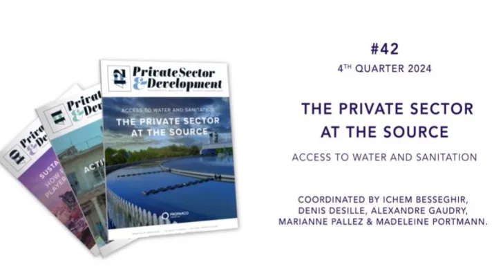 Private Sector & Development 42