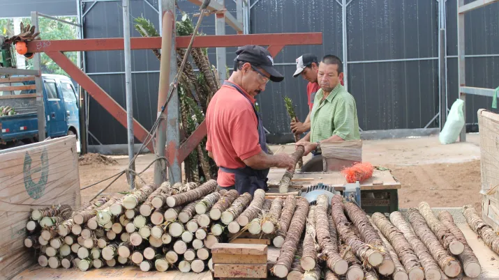 Soutenue par Banco Promerica, la coopérative Coopeidia - spécialisée dans la culture de canne à sucre - a été créée en 1982 dans la province d’Alajuela au Costa Rica.