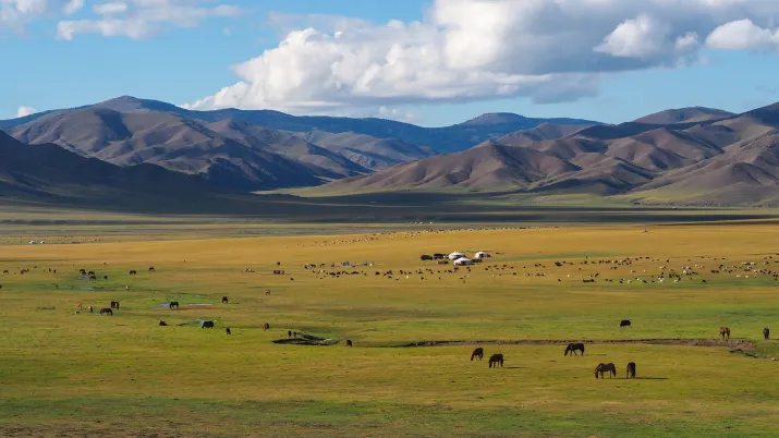 mongolia climate projects proparco golomt bank