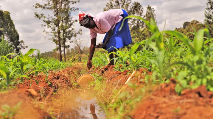 En Afrique subsaharienne, le fonds ARAF renforce la résilience climatique des petits exploitants agricoles