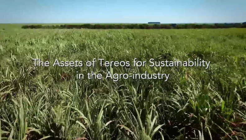 The Assets of Tereos for Sustainability in the Agro-industry