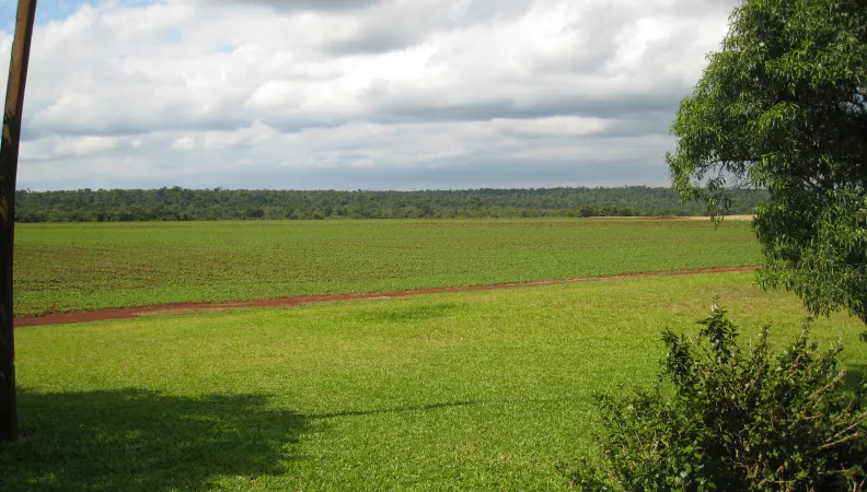 LAAD, une institution financière qui soutient les PME du secteur agricole en Amérique latine