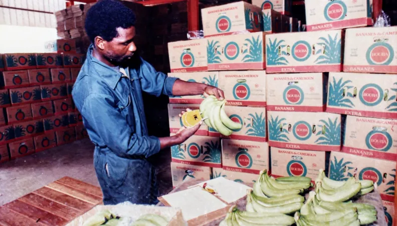 ETI, un prêt pour appuyer le financement des PME africaines