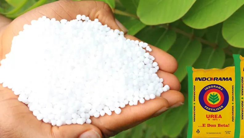 fertilizers