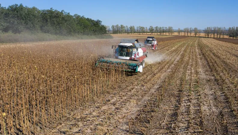 microinvest moldova entrepreneurs agriculture