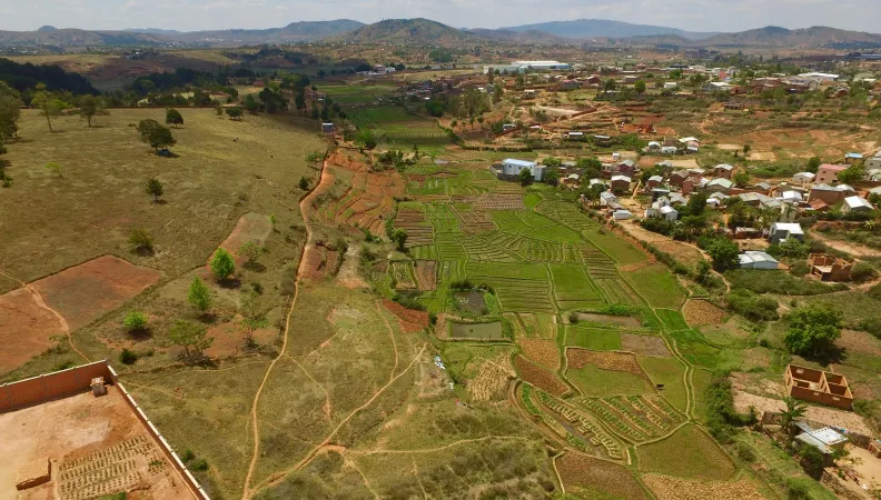 Madagascar - Agriculture