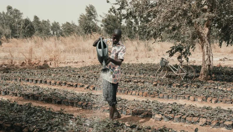 Burkina Faso - Agriculture