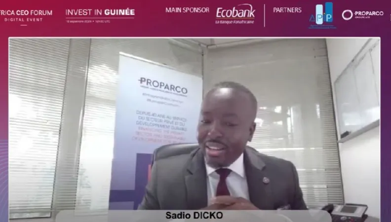 Intervention de Sadio Dicko en webinaire