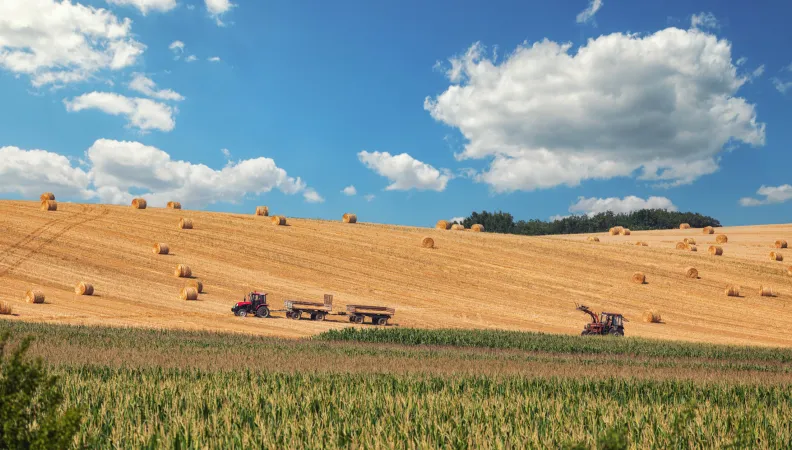 serbia proparco small farmers small businesses