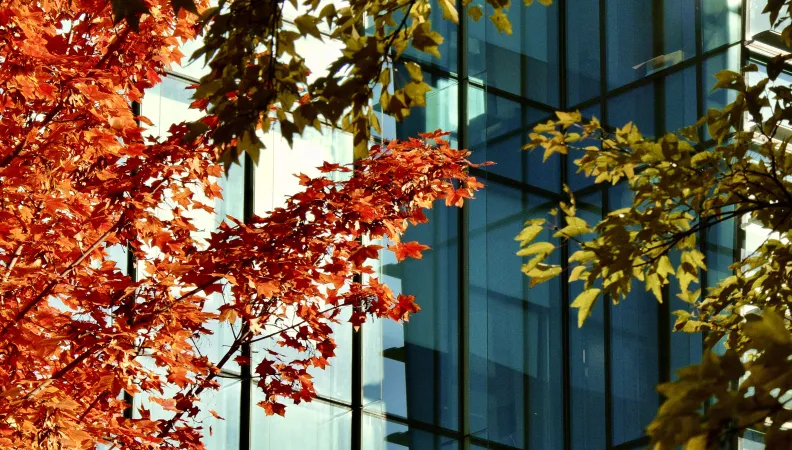 Comment les innovations des pays émergents développent la résilience climatique