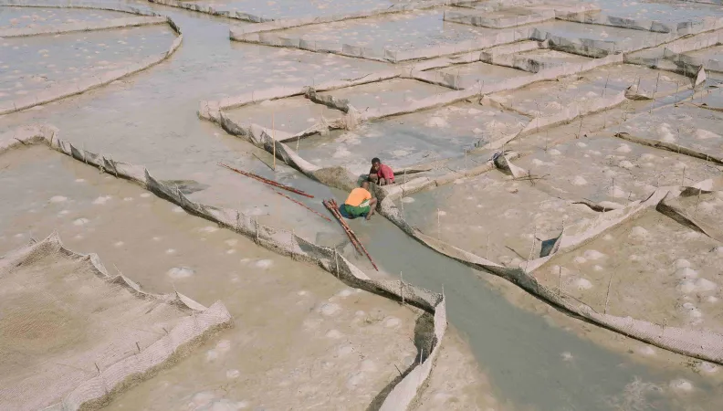 IPAE3-I&P-PROPARCO-2025