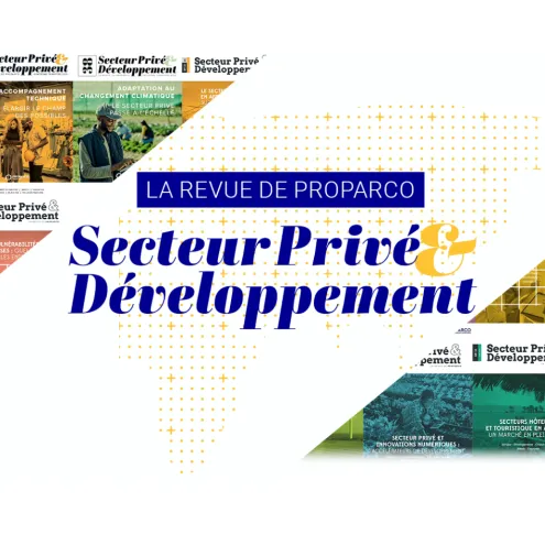 Secteur privé et développement